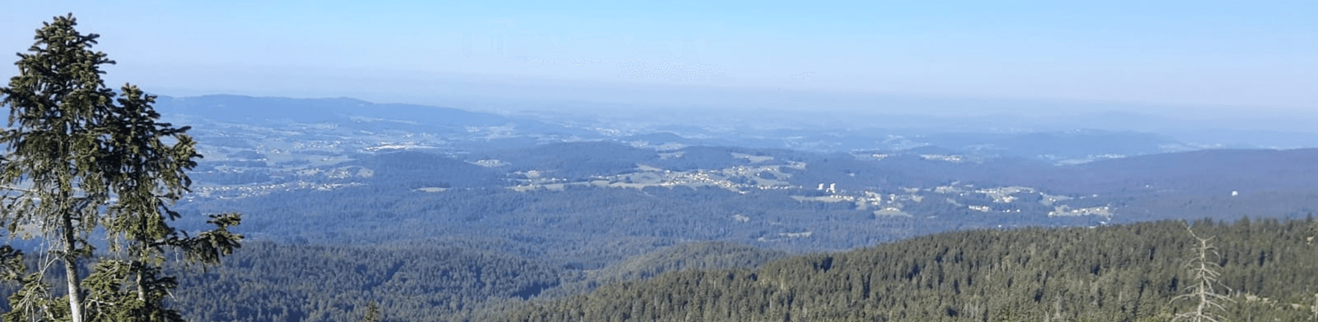 S´Neunerl