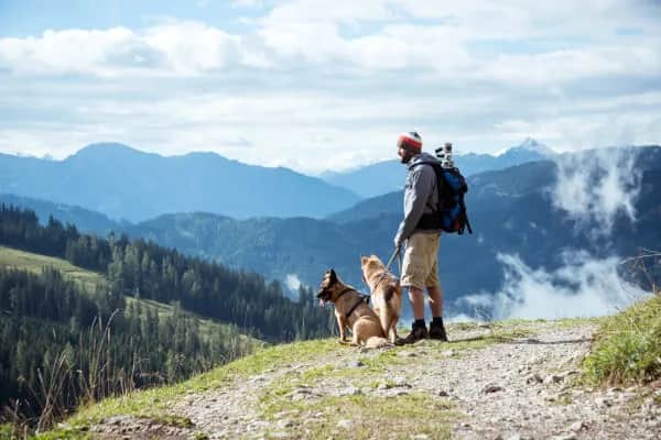 Wanderurlaub mit Hund im Böhmerwald