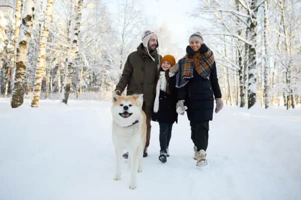 Ferienhaus für Skiurlaub mit Hund am Hochficht