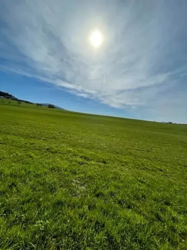 Urlaub im Mühlviertel – Ferienhaus für Naturfreunde