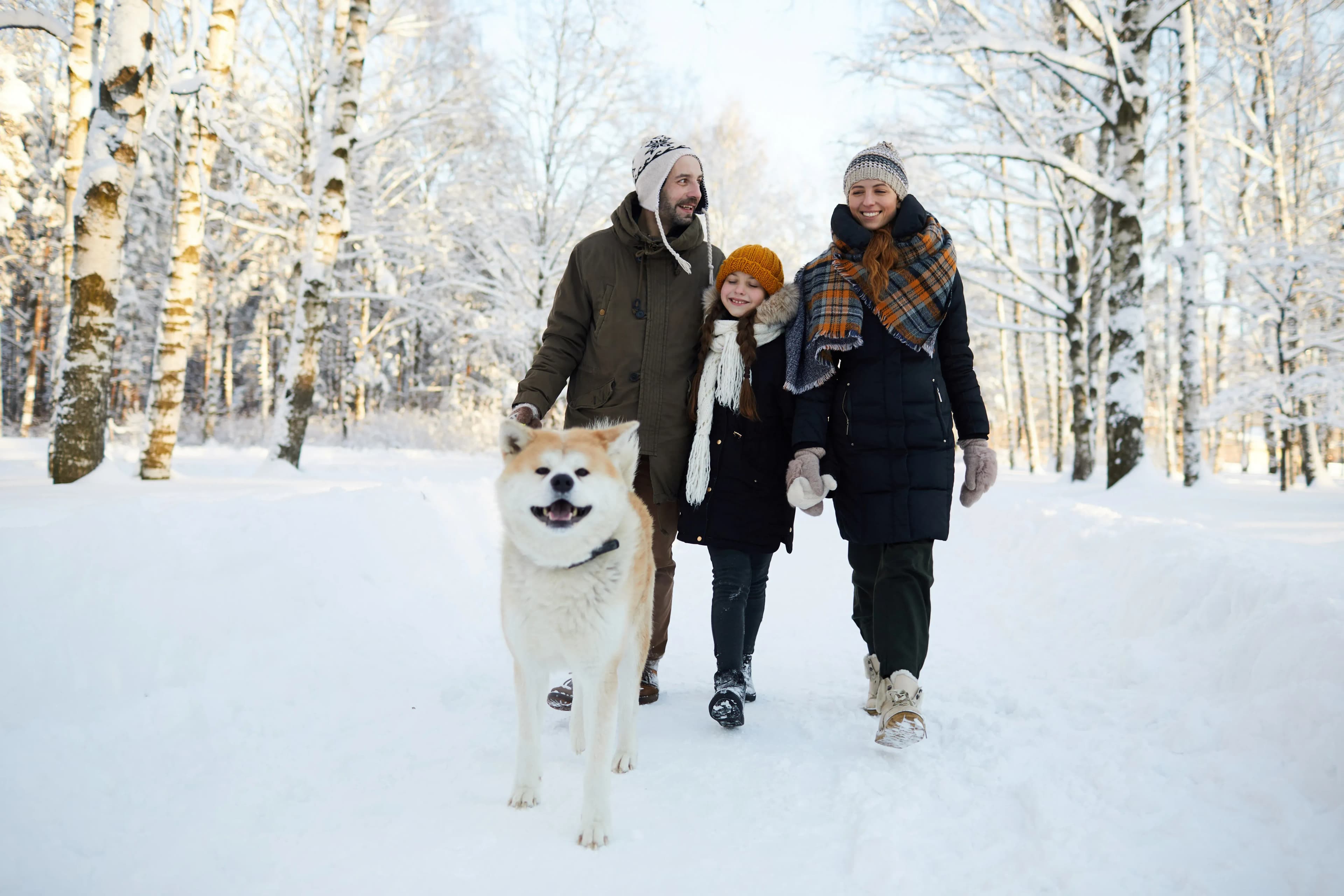 Ferienhaus für Skiurlaub mit Hund am Hochficht