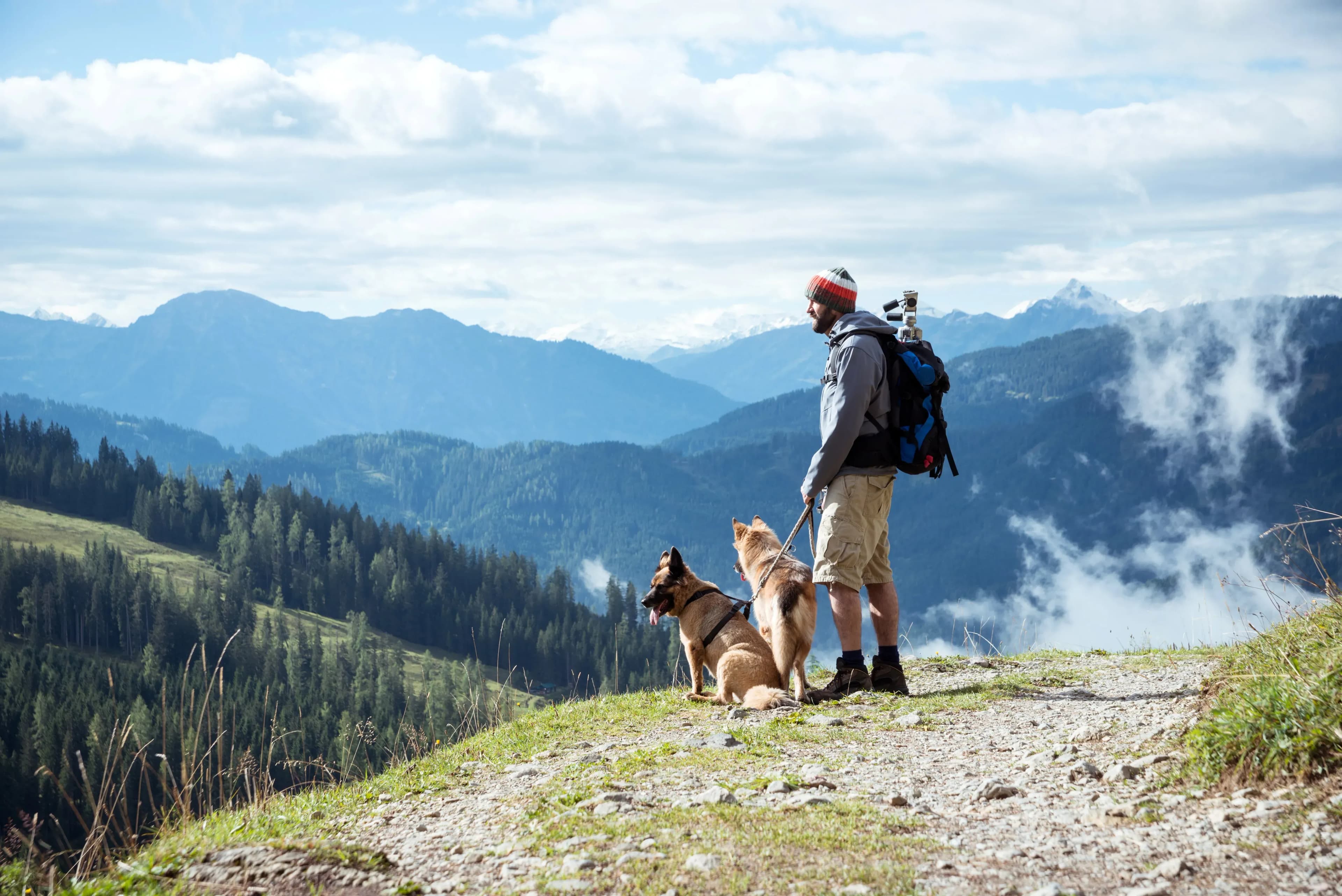 Wanderurlaub mit Hund im Böhmerwald
