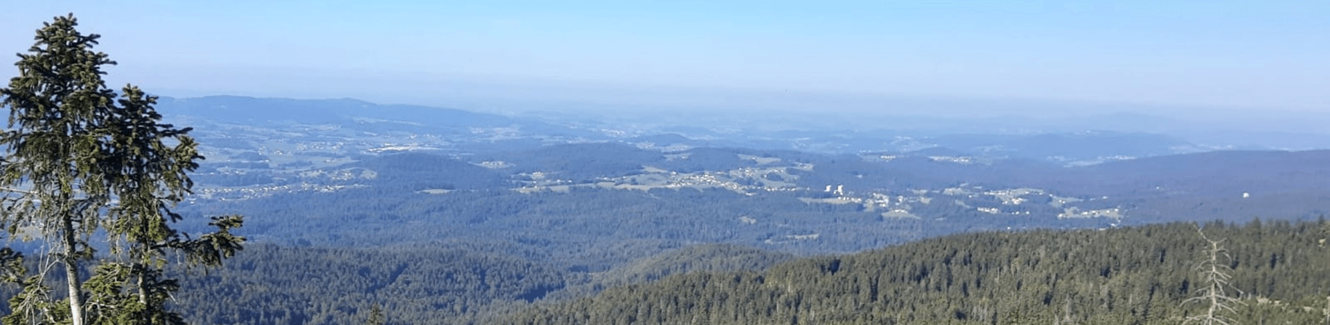 S´Neunerl